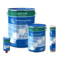 Смазка SKF LGGB 2